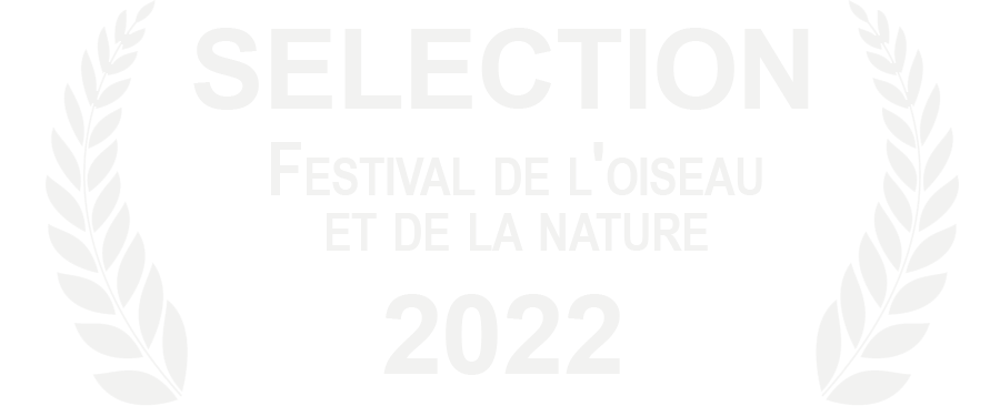 festival de l'oiseau et de la nature 2022