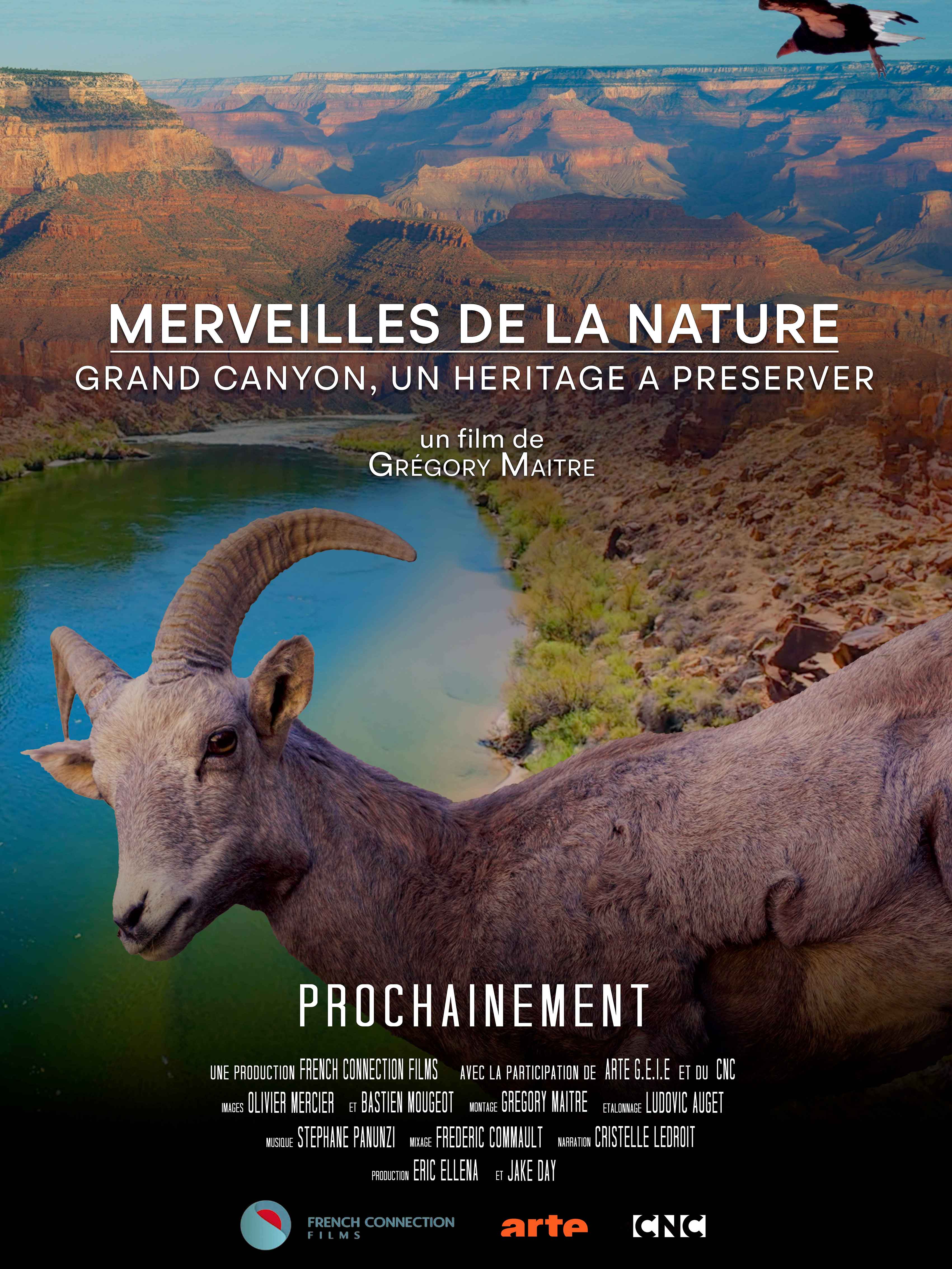 documentaire merveilles de la nature grand canyon un héritage à préserver
