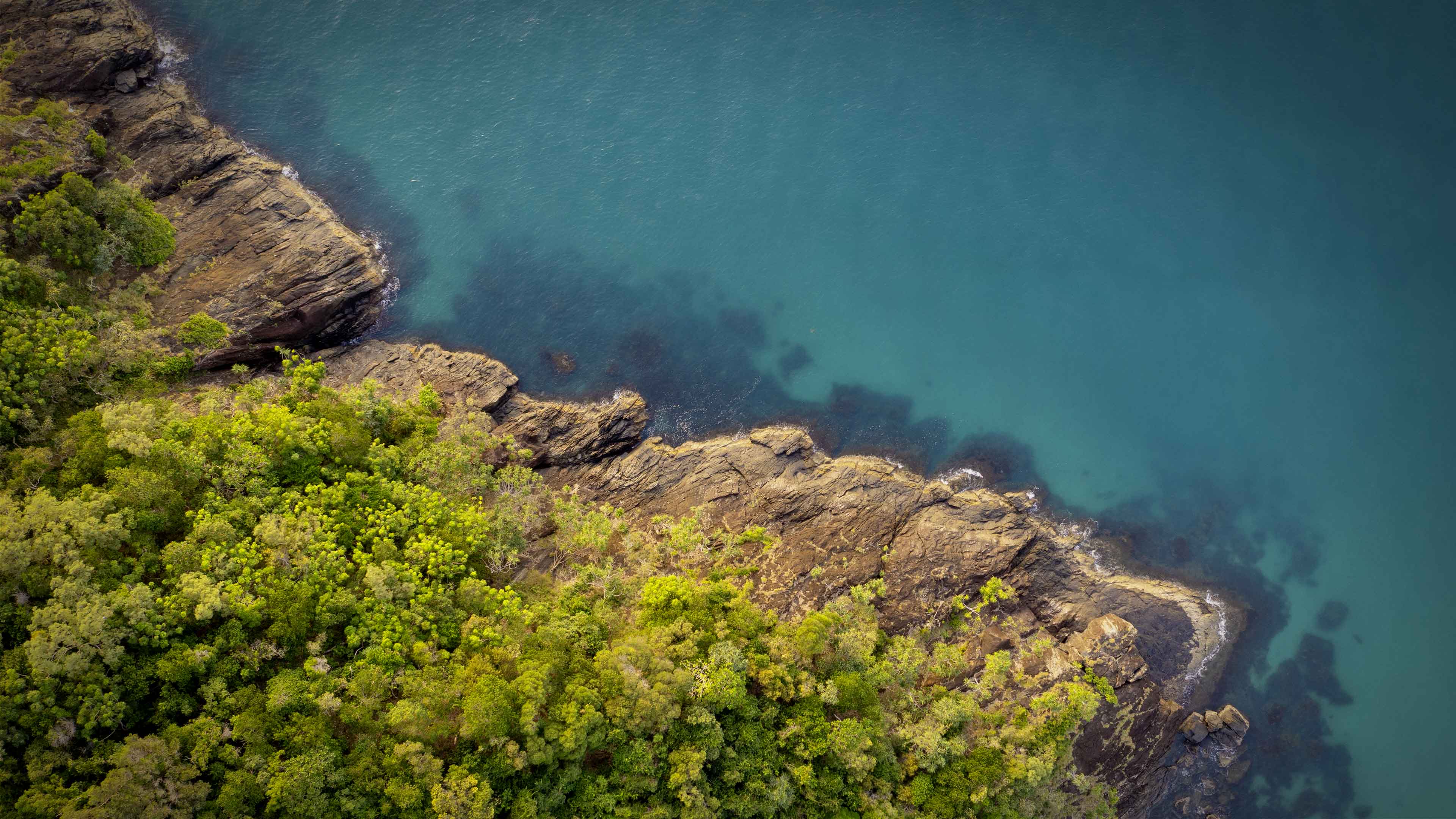 Daintree Australie