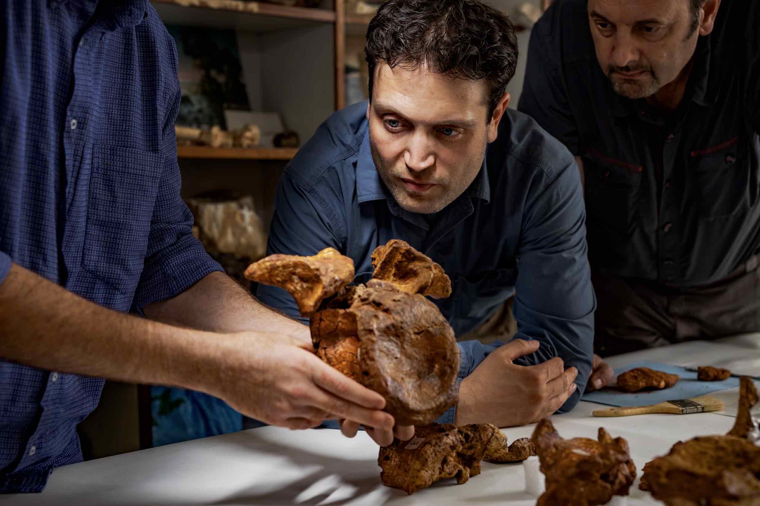 documentaire dinosaure spinosaure