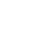 SPI International